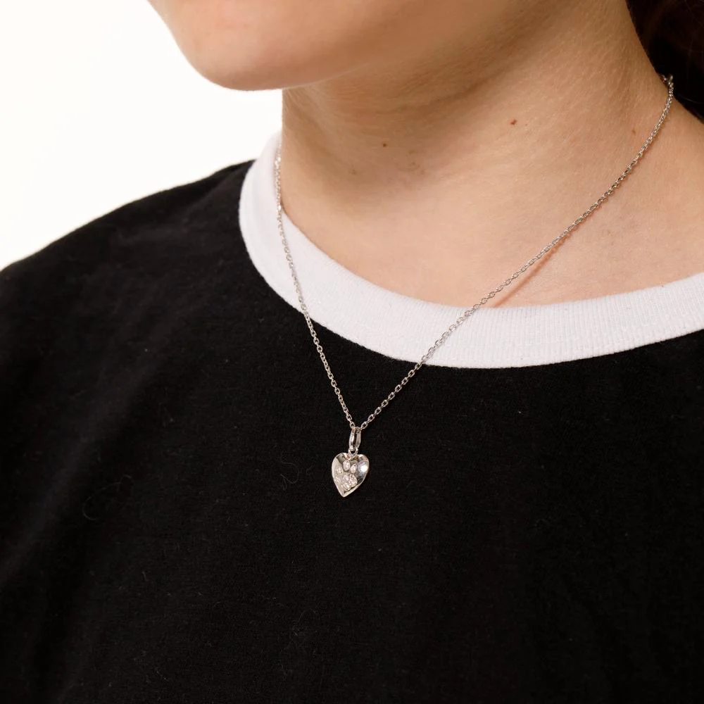 Catena con ciondolo Argento Zirconia 7 pietra rodiato Zampa 36-38 cm Ø11 mm - Image 3