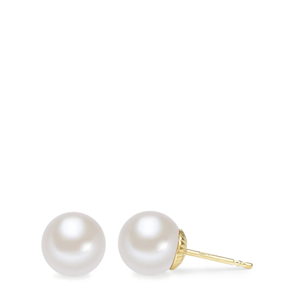 Orecchini a bottone Oro giallo 585/14 kt Perla coltivata d'acqua dolce bianco, 2 Perla, 7.5 mm