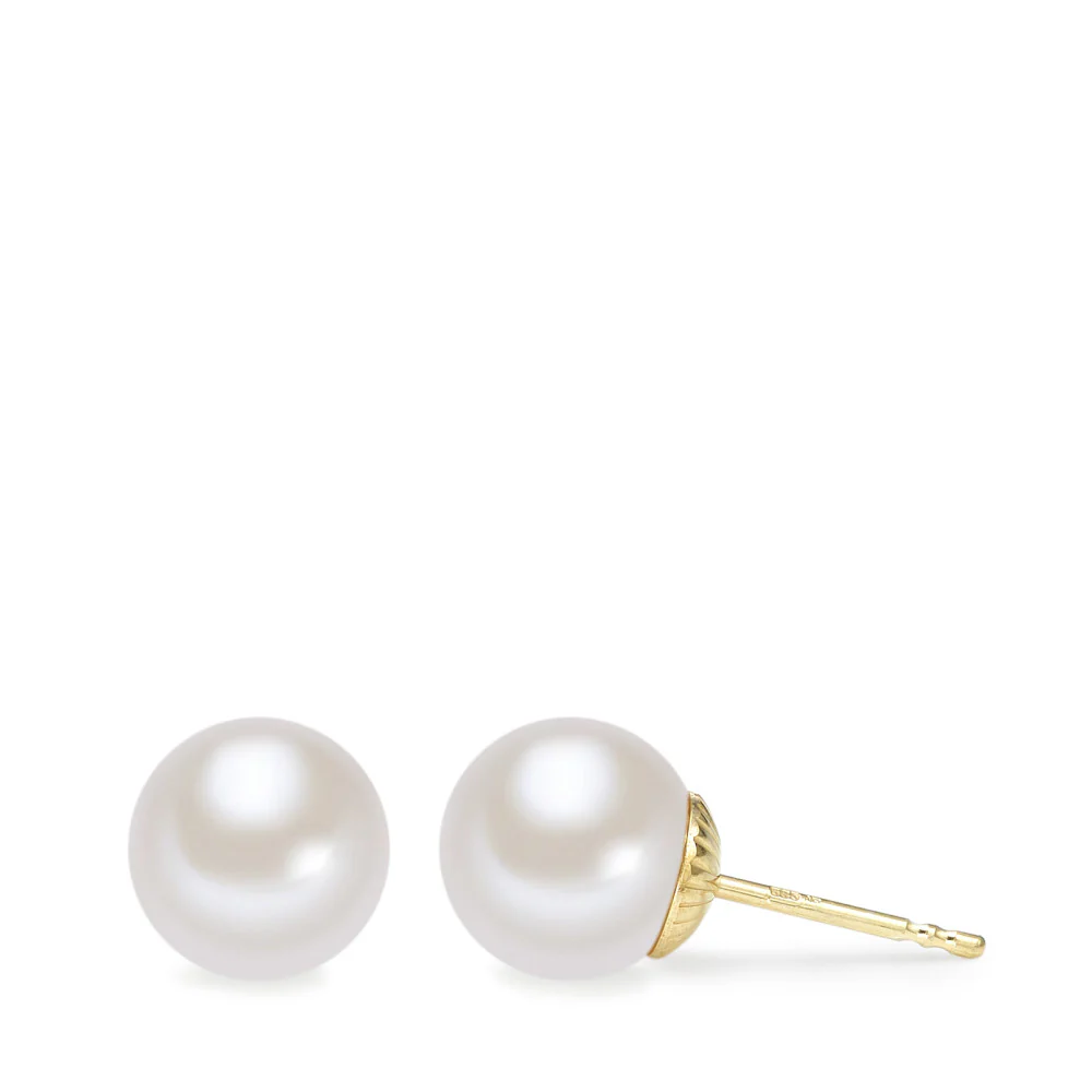 Orecchini a bottone Oro giallo 585/14 kt Perla coltivata d'acqua dolce bianco, 2 Perla, 8.5 mm