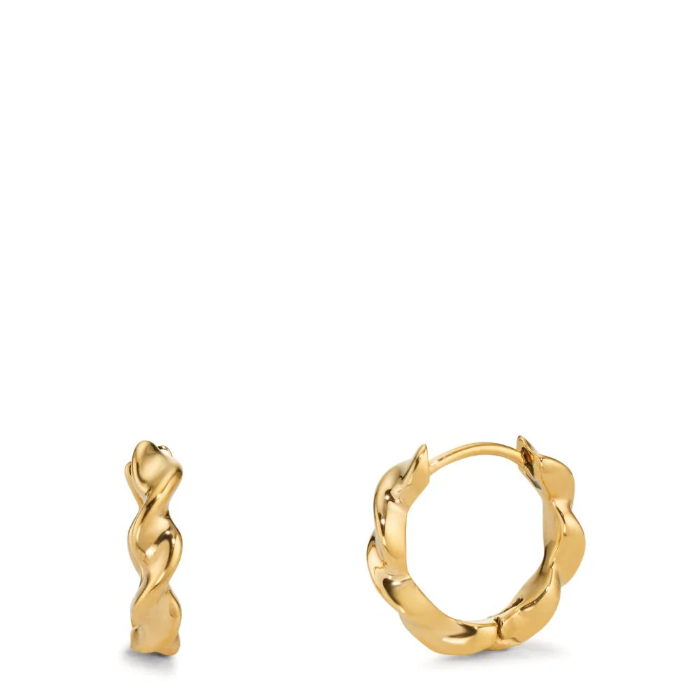 Orecchini circolari Acciaio inossidabile giallo rivestimento IP