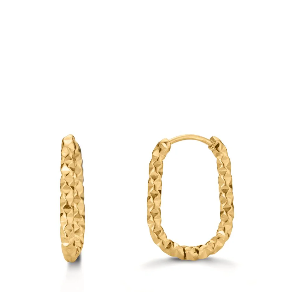 Orecchini circolari Acciaio inossidabile giallo rivestimento IP