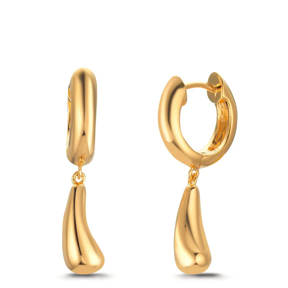 Orecchini circolari Argento giallo dorato