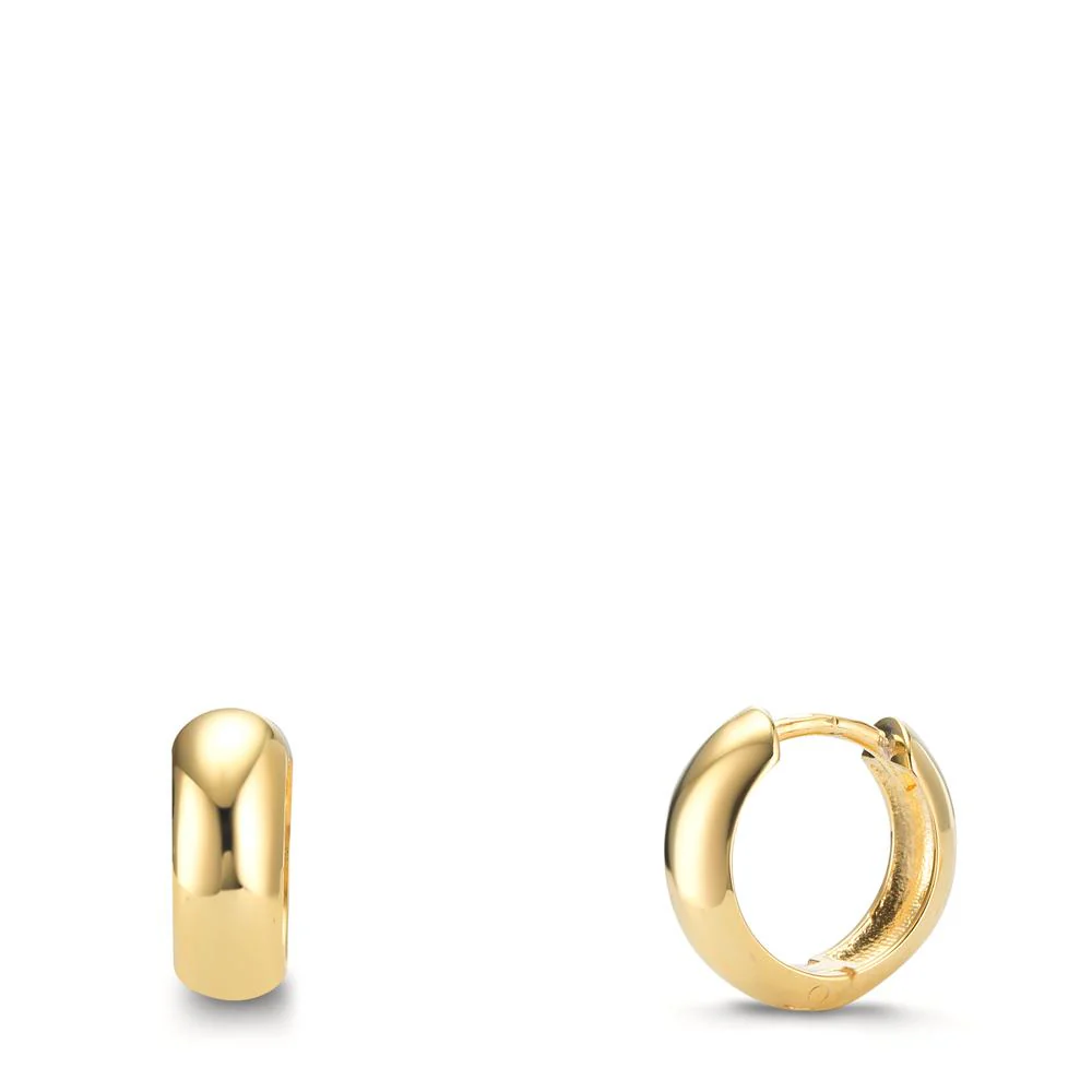 Orecchini circolari Argento giallo dorato