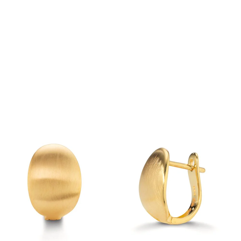 Orecchini circolari Argento giallo dorato