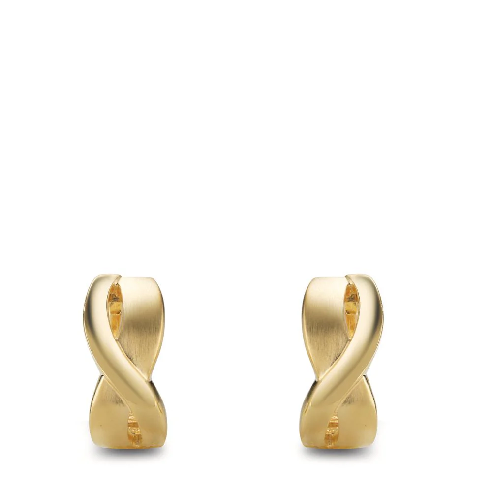 Orecchini circolari Argento giallo dorato - Image 3