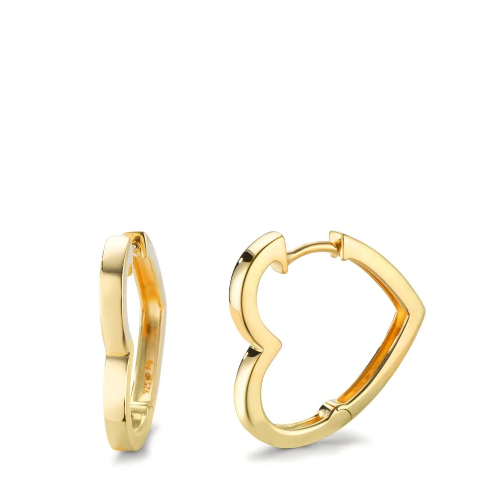 Orecchini circolari Argento giallo dorato