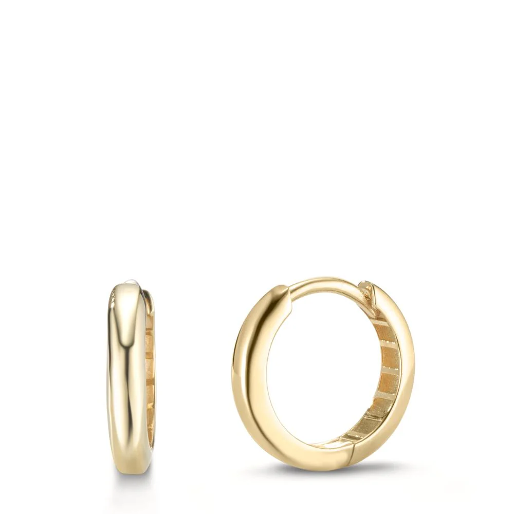 Orecchini circolari Argento giallo dorato