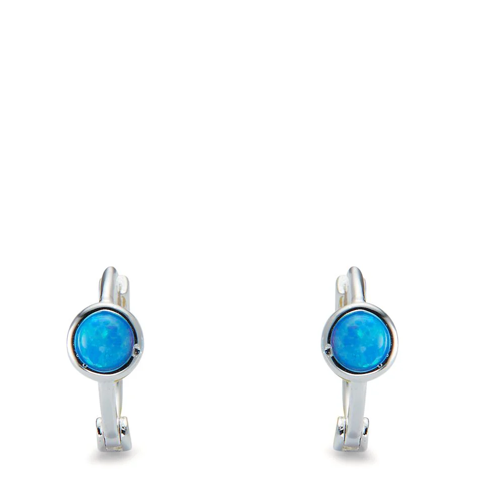 Orecchini circolari Argento [synth. Stein] blu, 2 pietra - Image 2