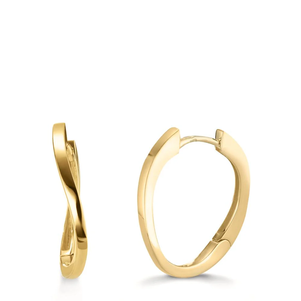 Orecchini circolari Oro giallo 375/9K
