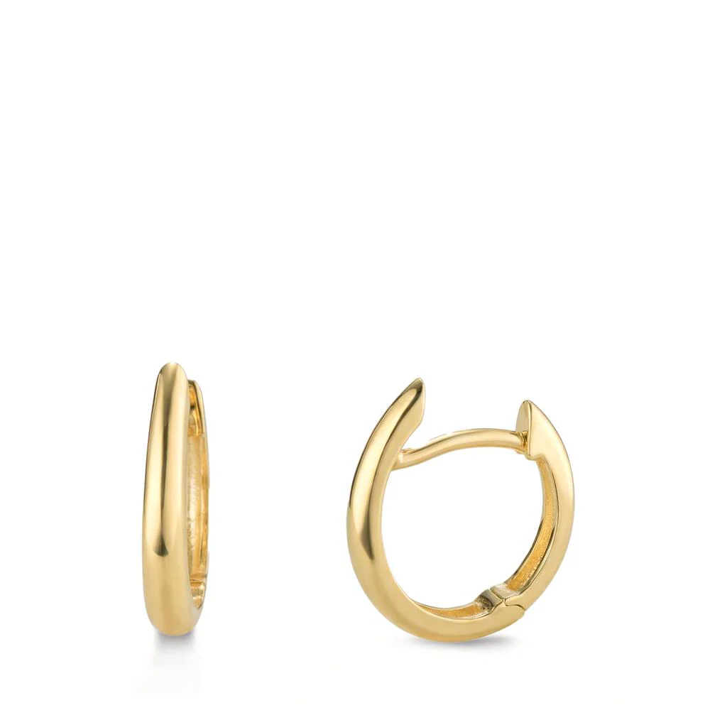 Orecchini circolari Oro giallo 375/9K